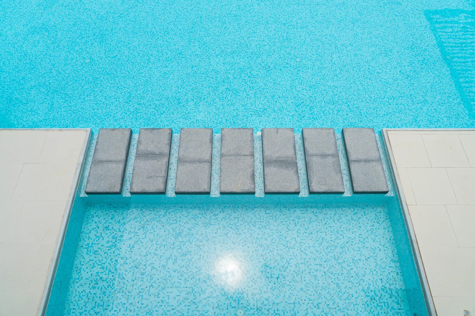 Freeform custom gunite pool in an Aubrey, TX backyard with tanning ledge and stone coping